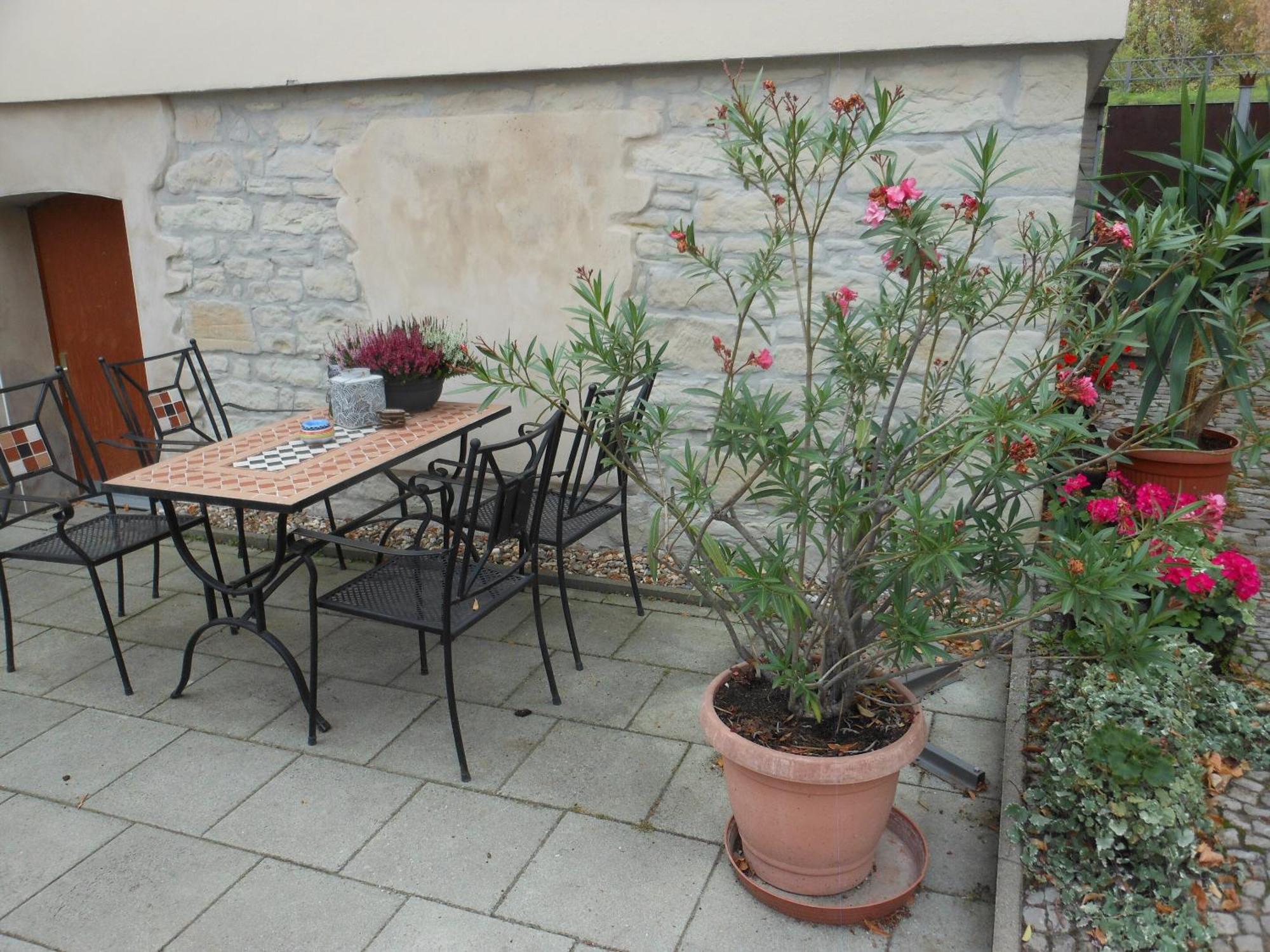 Pension Am Werder Bernburg Extérieur photo