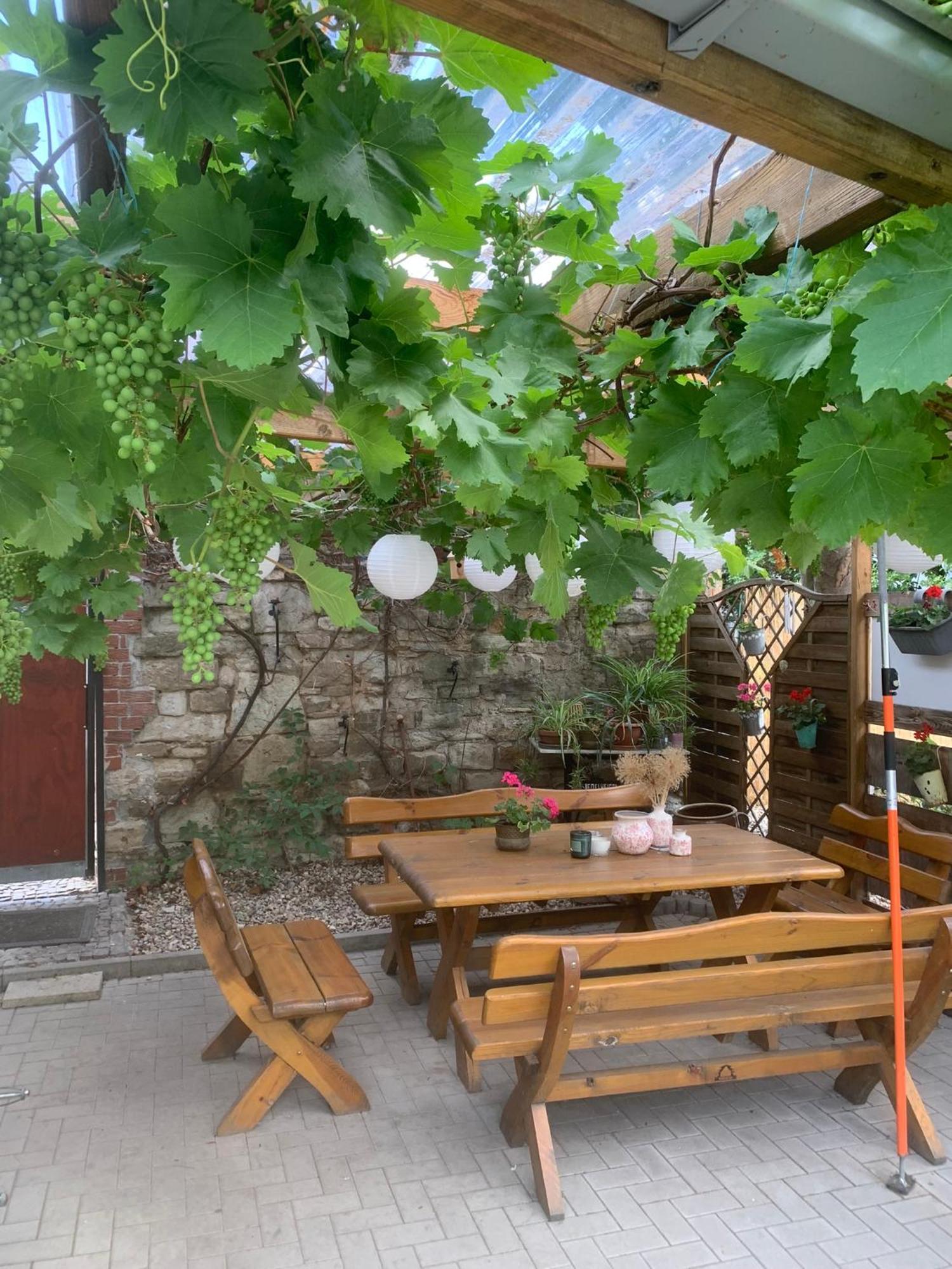 Pension Am Werder Bernburg Extérieur photo